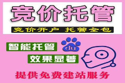 搜索引擎营销（SEM）广告的创意与执行案例